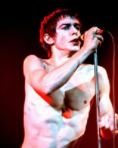 Iggy Pop : Iggy Pop-2