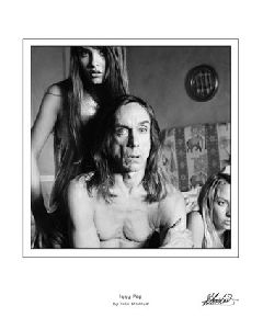 Iggy Pop : 176101