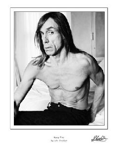 Iggy Pop : 176097