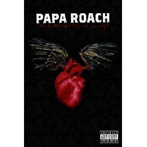 Papa Roach  Live   Murderous In Chicago DVD cover picture