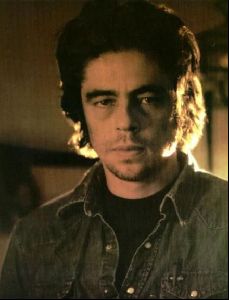 benicio del toro : 24