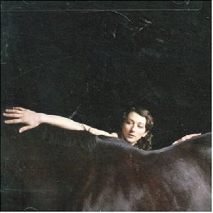 My Brightest Diamond - Bring me the workhorse album cover