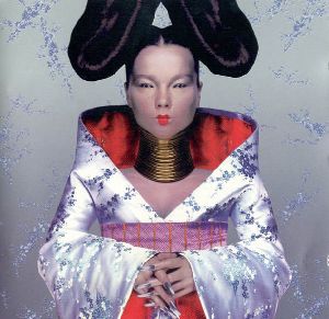 Bjork - Homogenic album cover