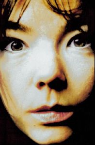 bjork : 30