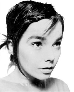 bjork : 31