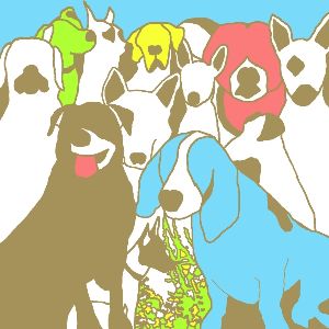 The Format - Dog problems album cover