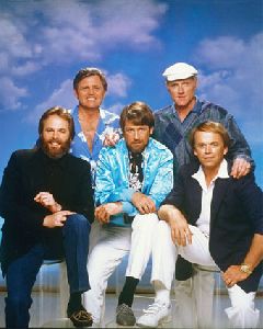 The Beach Boys : 261488