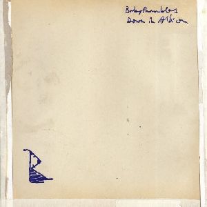 Babyshambles - Down in albion album cover