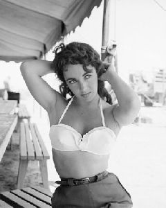 Elizabeth Taylor : 175597