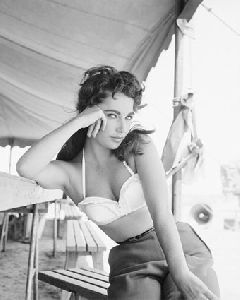 Elizabeth Taylor : 175278