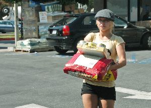 Sexy Hayden Panettiere picture/pic holding a huge bag of dog supplies on September 14, 2007