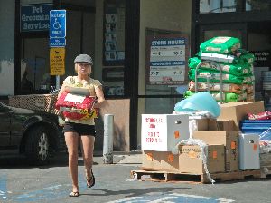 Hot Hayden Panettiere photo/pic holding a huge bag of god food