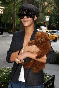 Sexy Rihanna pictures walking with her teddy bear in NYC