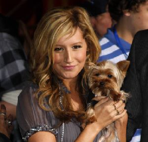 Ashley Tisdale pictures at 'High School Musical 2' DVD Premiere