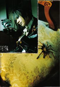 Plastic Tree : ryutaro6