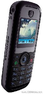 Motorola : Motorola W205