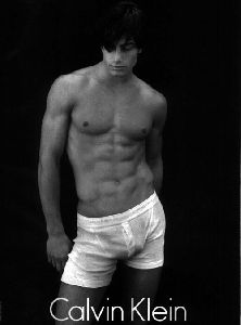 Supermodel Michael Bergin pic