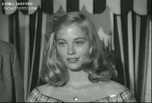 cybill shepherd : 29