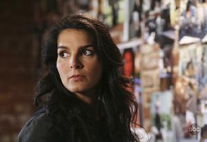 Angie Harmon : Angie Harmon25