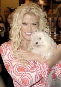 Anna Nicole Smith : 46413