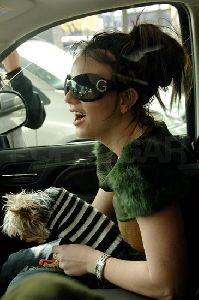 Britney Spears : Britney Spears And Furry Dog In Car0