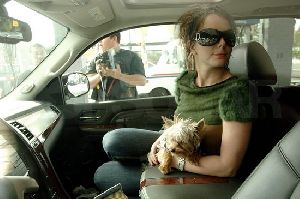 Britney Spears : Britney Spears And Furry Dog In Car1