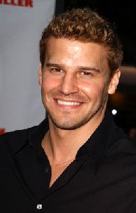 David Boreanaz : david boreanaz11