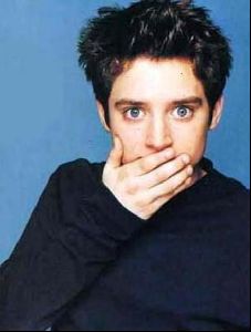 elijah wood : 29