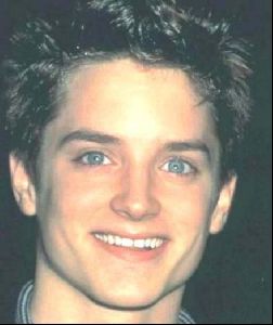 elijah wood cheek bones