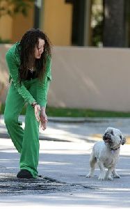 Miley Cyrus : miley-cyrus-stray-dog