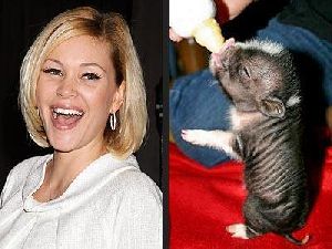 Shanna Moakler : shanna-moakler-and-pet-pig 400x300