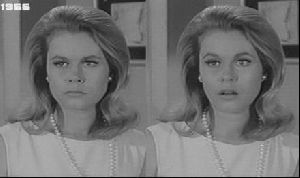 elizabeth montgomery : 5