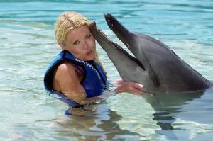 Tara Reid : Tara Reid visits Sea World 10