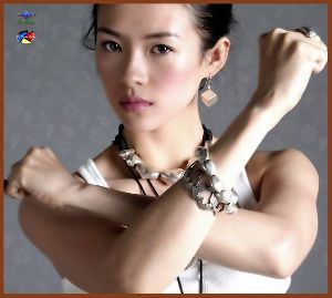 Zhang Ziyi : photo26