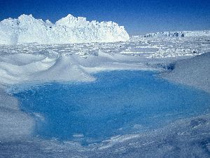 Antarctica : Dumont D Urville, Terre Adelie Coast, East Antarctica