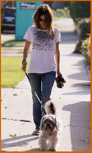 Rachel Bilson out in jeans walking the dog