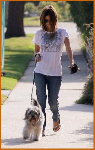 Rachel Bilson out in jeans walking the dog