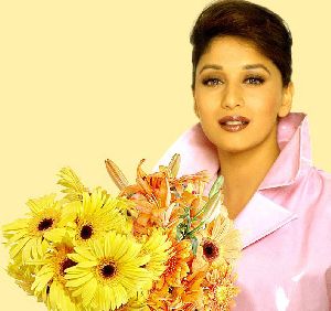 Madhuri Dixit : madhuri1