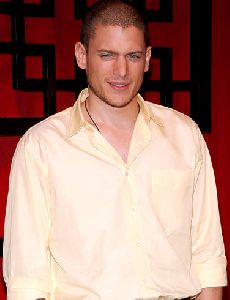 Wentworth Miller  III  : wentworth-miller-picture-2