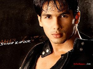 Shahid Kapoor : sha12v 1024