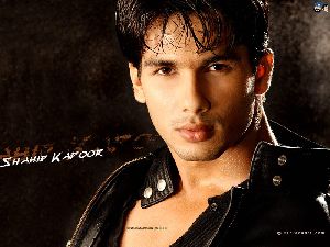 Shahid Kapoor : sha12v