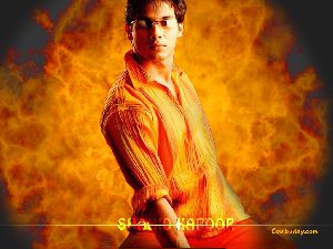 Shahid Kapoor : Shahid-1024-11