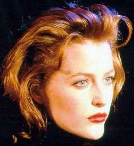 gillian anderson : 96