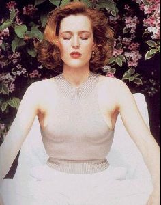 gillian anderson : gillian26