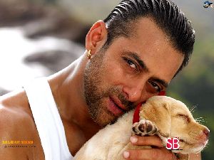 Salman Khan : sal12a