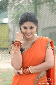 Sneha : pandi-new-stills01