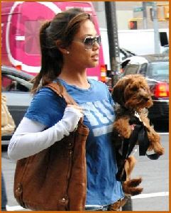 Vanessa Minnillo : Vanessa Minnillo and Wookie out and about one fine day in SoHo7 486cc580a0317-t