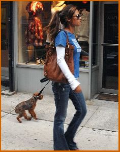 Vanessa Minnillo : Vanessa Minnillo and Wookie out and about one fine day in SoHo2 486cc47d94c48