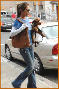 Vanessa Minnillo : Vanessa Minnillo and Wookie out and about one fine day in SoHo3 486cc47d96b90