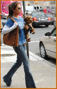 Vanessa Minnillo : Vanessa Minnillo and Wookie out and about one fine day in SoHo1 486cc47d92d03